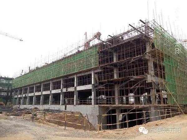 热烈庆祝七色光开阳中学喜封金顶！