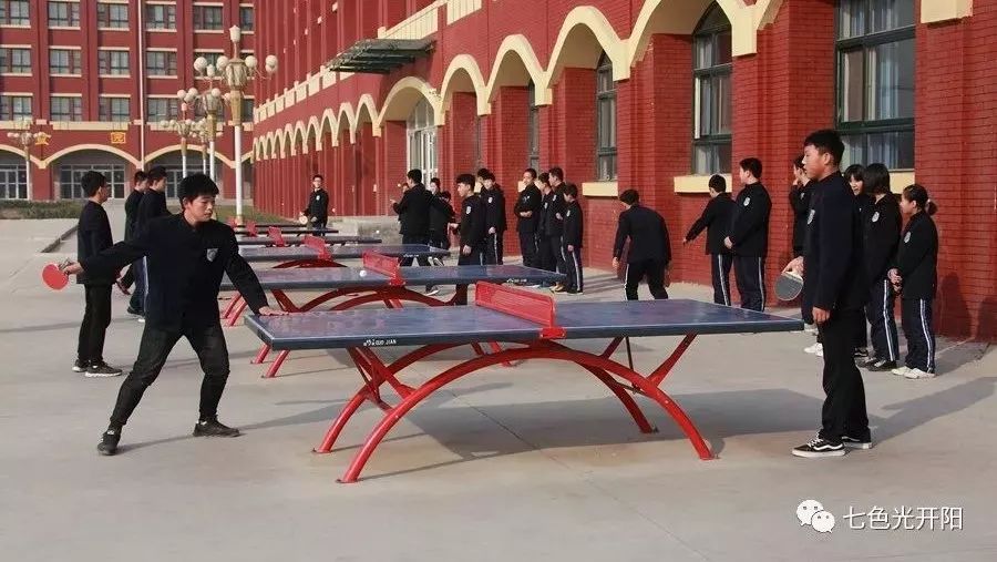 过年了，让我们一起品味“开阳印象”！——情智意美的学生活动，精彩纷呈！