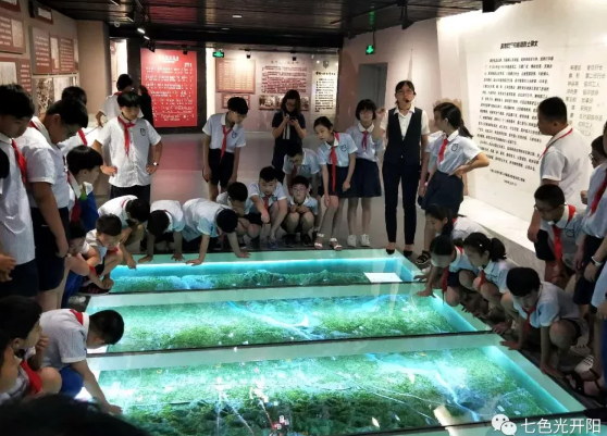 参观冀南银行　了解金融知识——七色光第一小学参观冀南银行