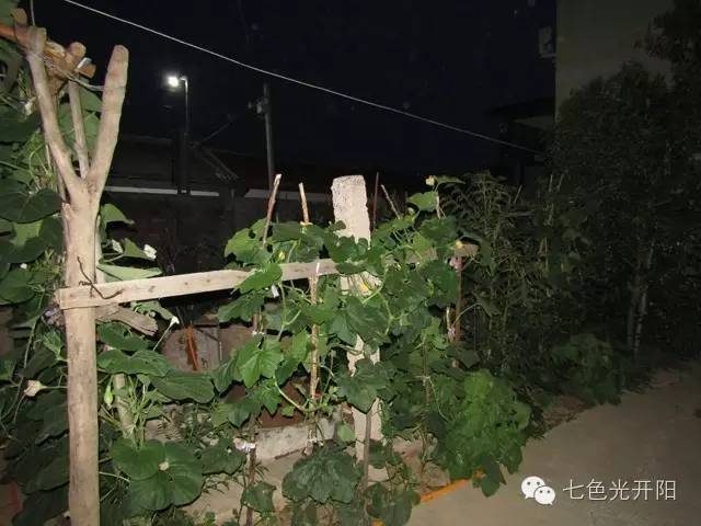 七色光开阳中学初一优生免费“北大清华长城”励志游第二天