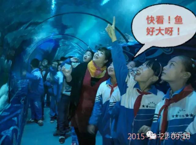 【七色光第一小学】校外大课堂 