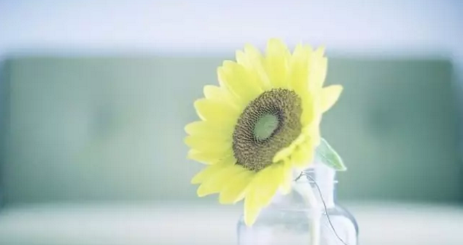 朋友圈最温暖的瞬间，暖哭了