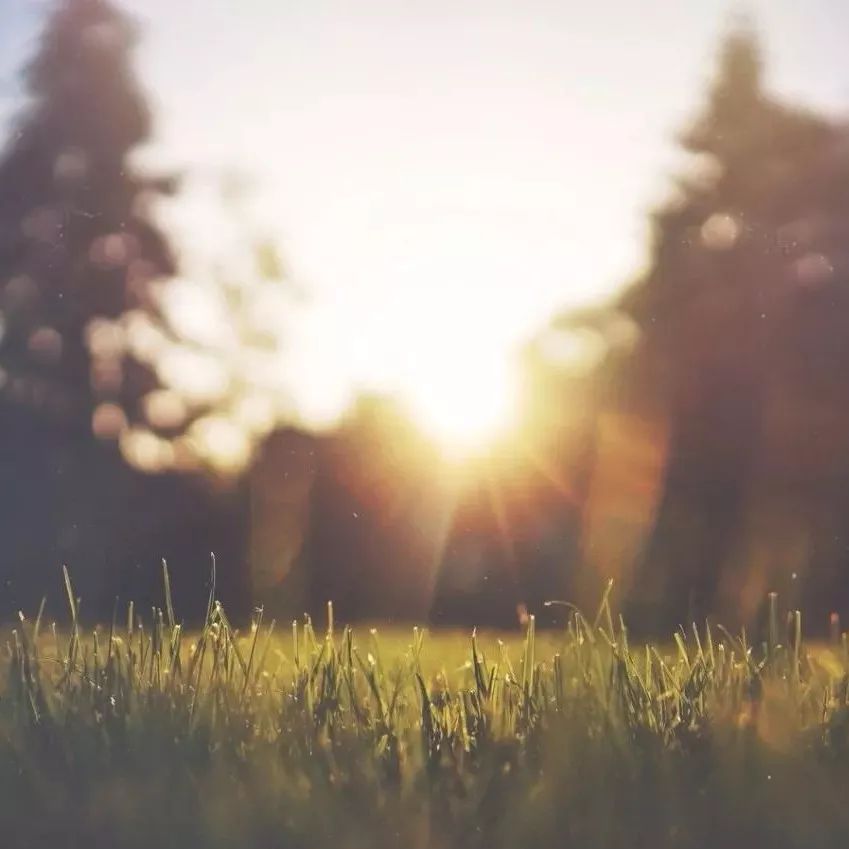 人生，可以很简单