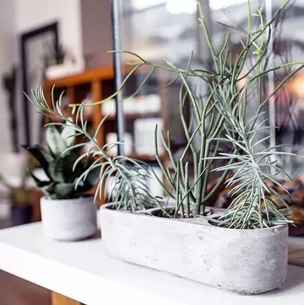 掉进水沟里的仇人