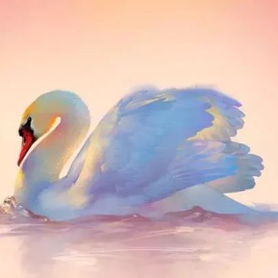 有一种伤害，叫“无微不至”（深度好文）