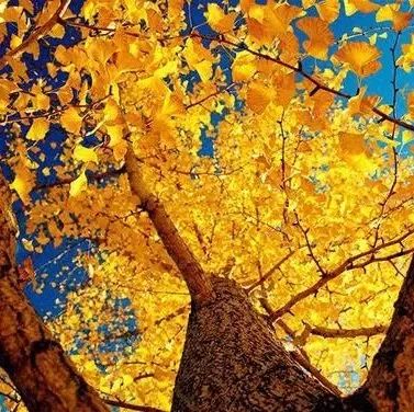 做人，不要预支明天的烦恼