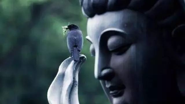 打湿的人生（深度好文）