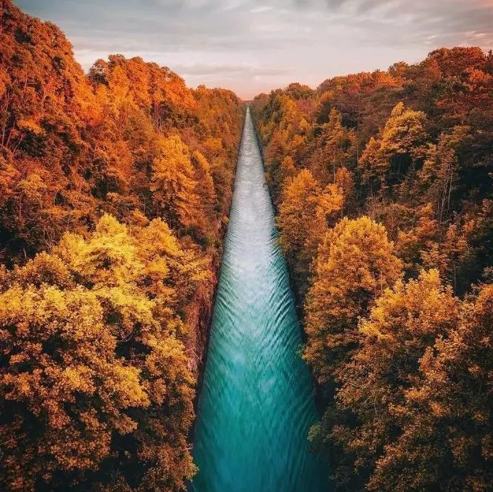 爱的最高境界是引路