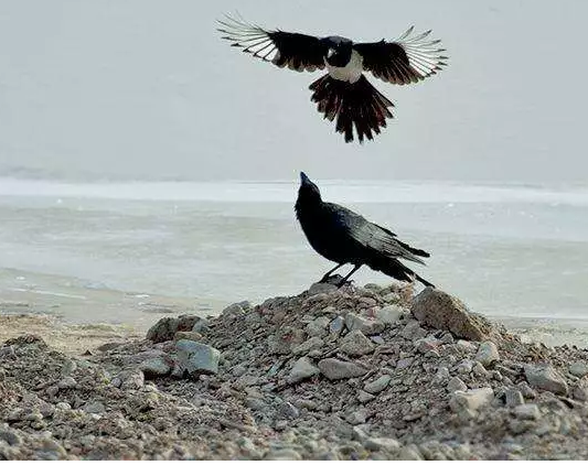 成功，从改变自己开始！（经典好文）