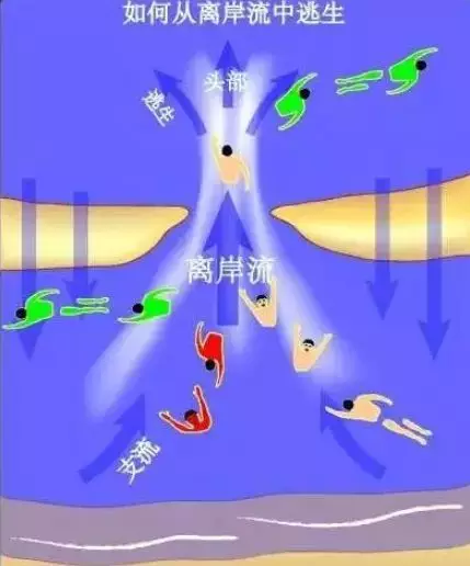 提醒父母：带孩子玩水，这些知识必须掌握！