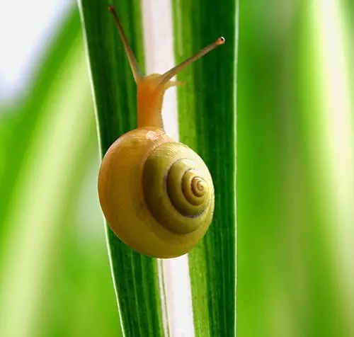 至少有一点是值得肯定的