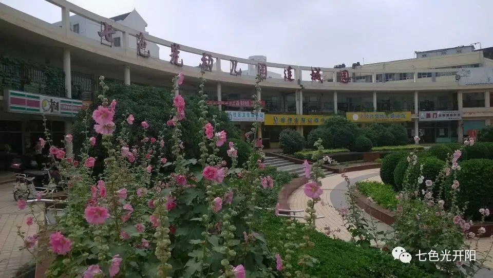 七色光连城幼小衔接学校2017年新生免费体验课火爆进行中！