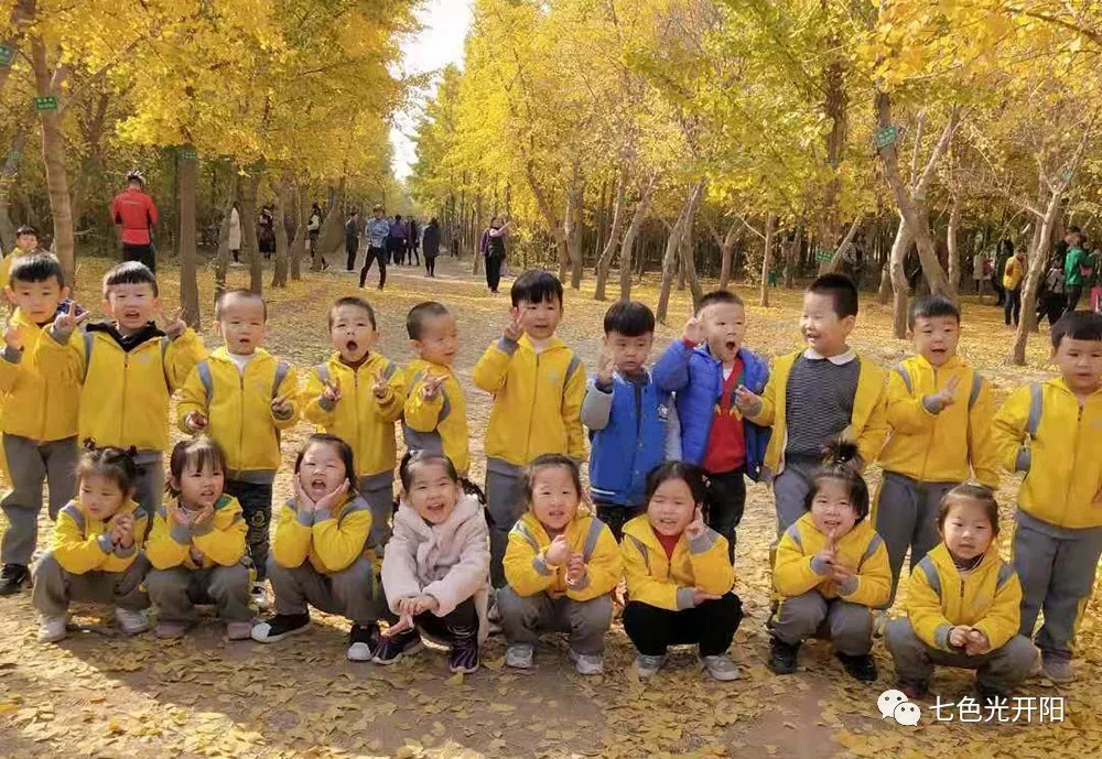七色光开阳昌宏园秋游之“落叶传情”